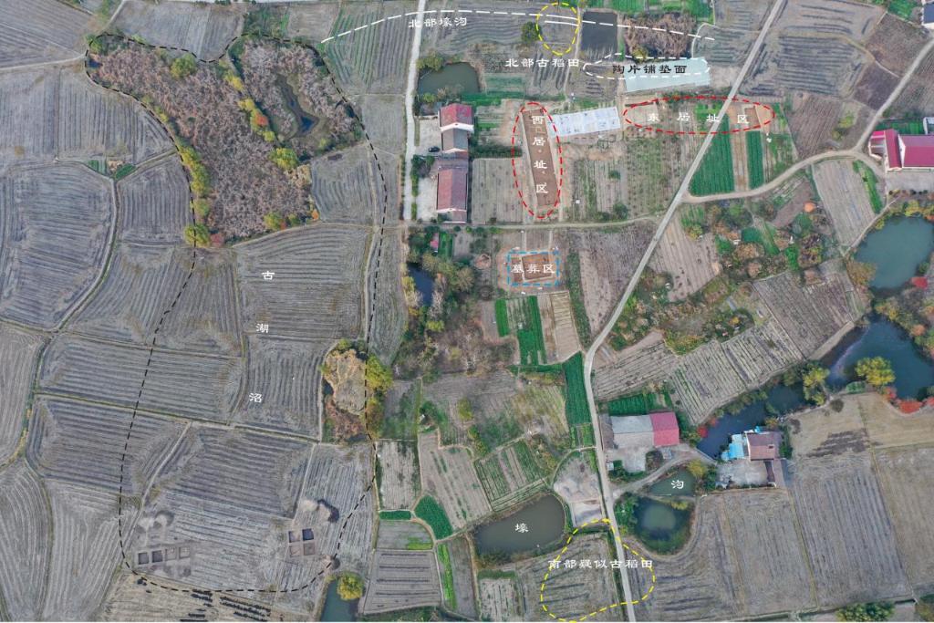 先民8000多年前就在种水稻不朽情缘app实锤！这里的(图2)