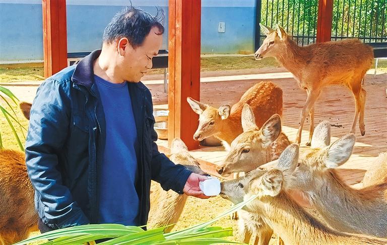 发展产业调研】林下生金不朽情缘登录【高质量(图2)